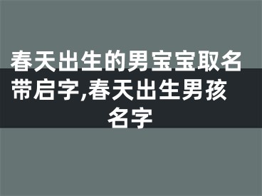 春天出生的男宝宝取名带启字,春天出生男孩名字