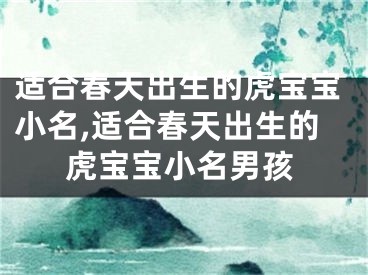 适合春天出生的虎宝宝小名,适合春天出生的虎宝宝小名男孩