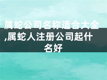 属蛇公司名称适合大全,属蛇人注册公司起什名好