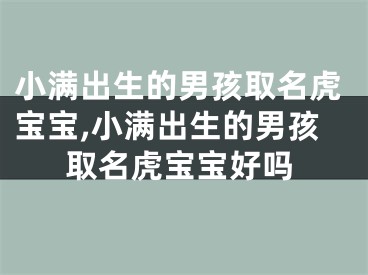 小满出生的男孩取名虎宝宝,小满出生的男孩取名虎宝宝好吗