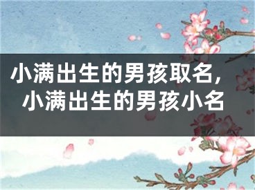 小满出生的男孩取名,小满出生的男孩小名