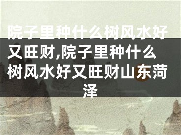 院子里种什么树风水好又旺财,院子里种什么树风水好又旺财山东菏泽