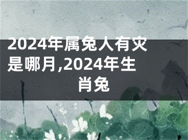 2024年属兔人有灾是哪月,2024年生肖兔