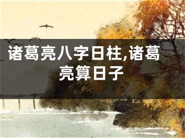 诸葛亮八字日柱,诸葛亮算日子
