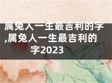 属兔人一生最吉利的字,属兔人一生最吉利的字2023