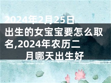 2024年2月25日出生的女宝宝要怎么取名,2024年农历二月哪天出生好