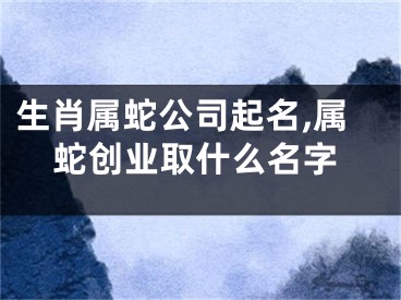生肖属蛇公司起名,属蛇创业取什么名字