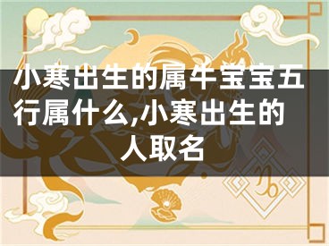 小寒出生的属牛宝宝五行属什么,小寒出生的人取名