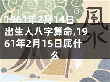 1961年2月14日出生人八字算命,1961年2月15日属什么