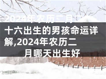 2024年农历二月二十六出生的男孩命运详解,2024年农历二月哪天出生好