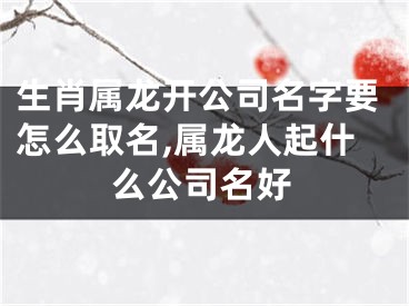 生肖属龙开公司名字要怎么取名,属龙人起什么公司名好