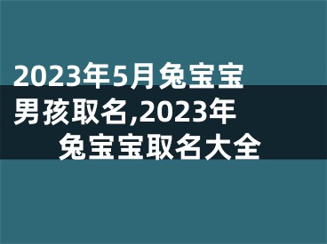 2023年5月兔宝宝男孩取名,2023年兔宝宝取名大全