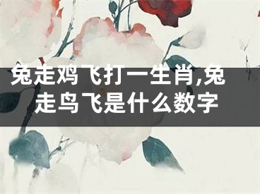 兔走鸡飞打一生肖,兔走鸟飞是什么数字