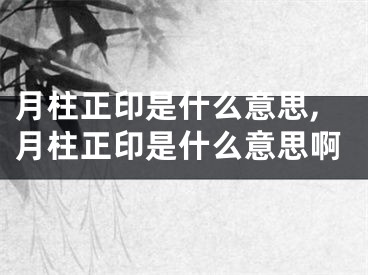 月柱正印是什么意思,月柱正印是什么意思啊