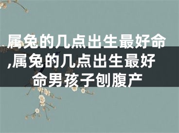 属兔的几点出生最好命,属兔的几点出生最好命男孩子刨腹产