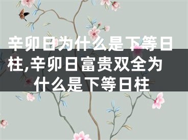 辛卯日为什么是下等日柱,辛卯日富贵双全为什么是下等日柱