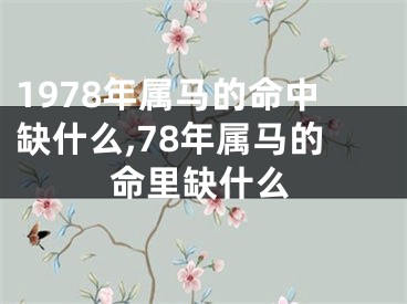 1978年属马的命中缺什么,78年属马的命里缺什么