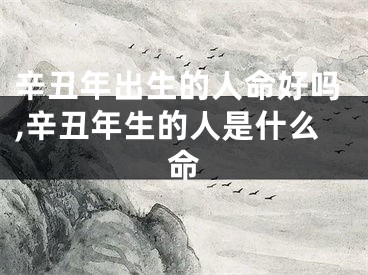 辛丑年出生的人命好吗,辛丑年生的人是什么命