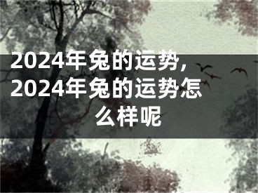 2024年兔的运势,2024年兔的运势怎么样呢