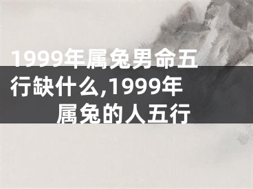 1999年属兔男命五行缺什么,1999年属兔的人五行