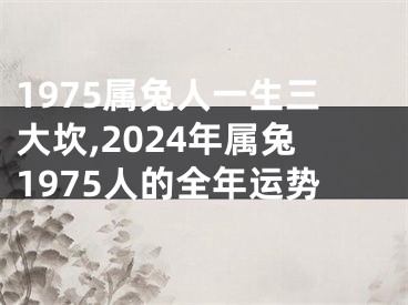 1975属兔人一生三大坎,2024年属兔1975人的全年运势