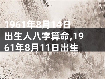 1961年8月14日出生人八字算命,1961年8月11日出生