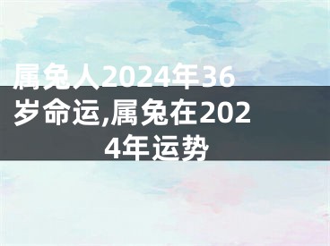 属兔人2024年36岁命运,属兔在2024年运势