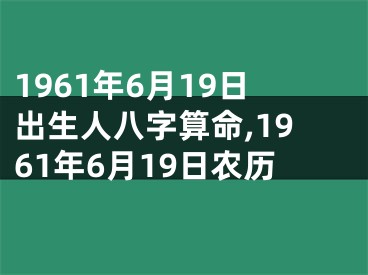 1961年6月19日出生人八字算命,1961年6月19日农历