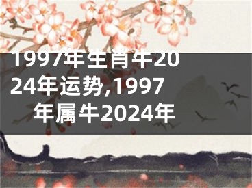 1997年生肖牛2024年运势,1997年属牛2024年