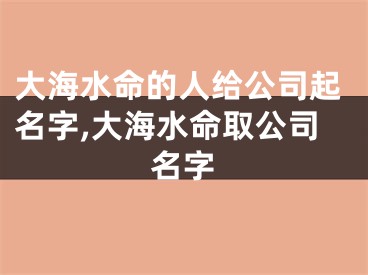大海水命的人给公司起名字,大海水命取公司名字
