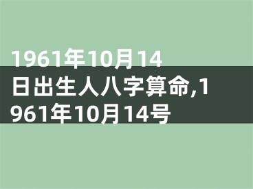 1961年10月14日出生人八字算命,1961年10月14号