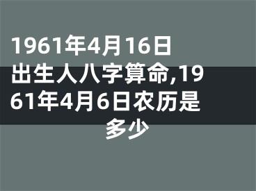 1961年4月16日出生人八字算命,1961年4月6日农历是多少