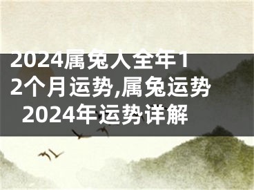 2024属兔人全年12个月运势,属兔运势2024年运势详解