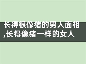 长得很像猪的男人面相,长得像猪一样的女人