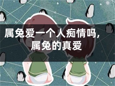 属兔爱一个人痴情吗,属兔的真爱