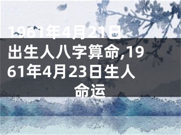 1961年4月21日出生人八字算命,1961年4月23日生人命运