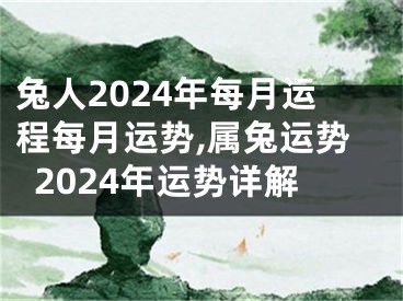 兔人2024年每月运程每月运势,属兔运势2024年运势详解