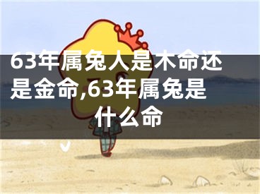 63年属兔人是木命还是金命,63年属兔是什么命