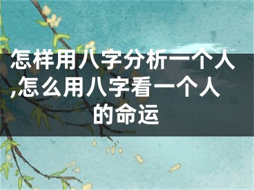怎样用八字分析一个人,怎么用八字看一个人的命运