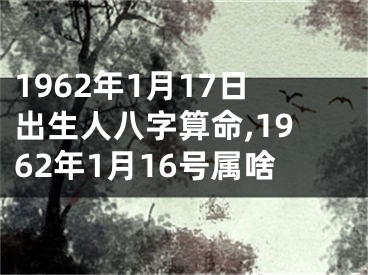 1962年1月17日出生人八字算命,1962年1月16号属啥