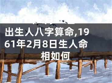 1961年2月16日出生人八字算命,1961年2月8日生人命相如何