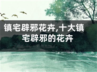 镇宅辟邪花卉,十大镇宅辟邪的花卉