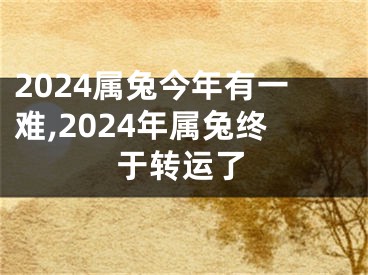 2024属兔今年有一难,2024年属兔终于转运了