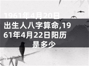 1961年4月20日出生人八字算命,1961年4月22日阳历是多少