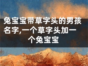 兔宝宝带草字头的男孩名字,一个草字头加一个兔宝宝