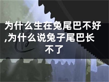 为什么生在兔尾巴不好,为什么说兔子尾巴长不了