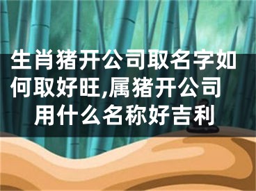生肖猪开公司取名字如何取好旺,属猪开公司用什么名称好吉利