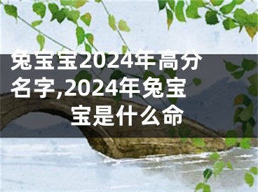 兔宝宝2024年高分名字,2024年兔宝宝是什么命