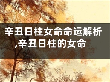 辛丑日柱女命命运解析,辛丑日柱的女命