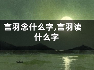 言羽念什么字,言羽读什么字